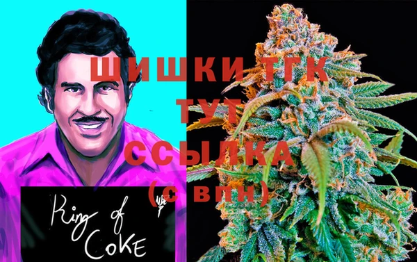 Альфа ПВП Елабуга