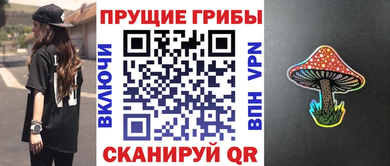 Купить  Голицыно  Псилоцибиновые грибы мухоморы 